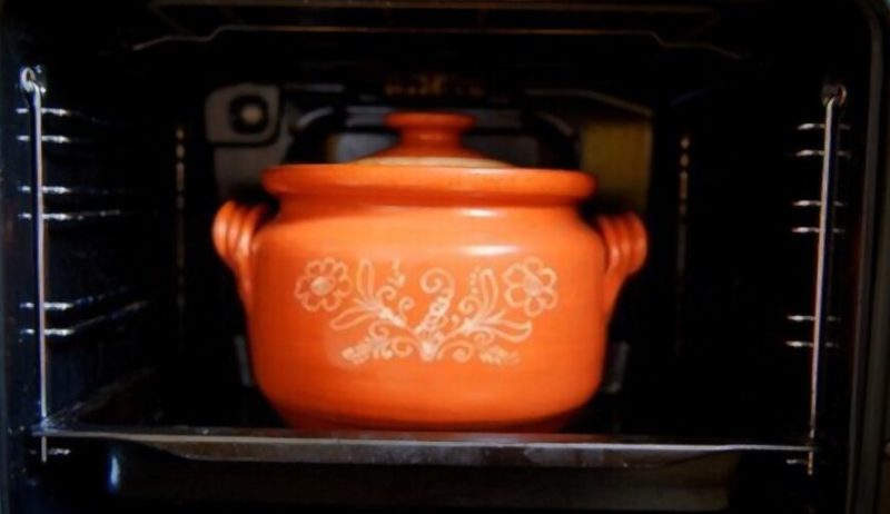 Can We Microwave A Clayware Earthenware Pot NewBasics